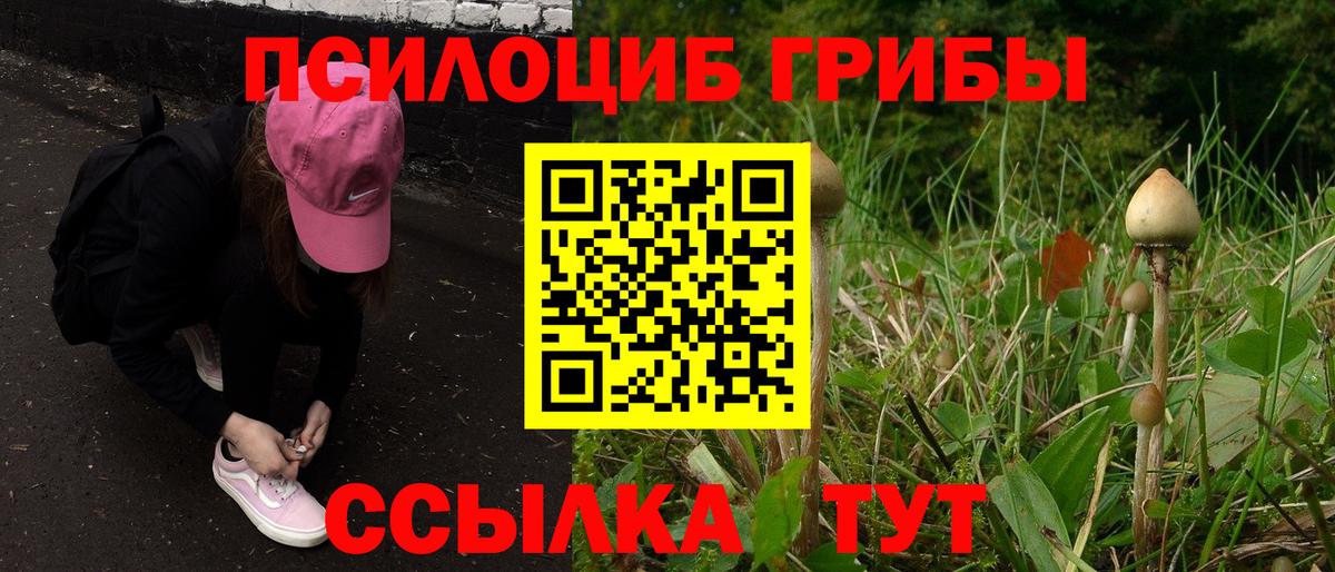 Галлюциногенные грибы GOLDEN TEACHER  Вход с VPN  Псилоцибиновые грибы мухоморы  Лесозаводск 
